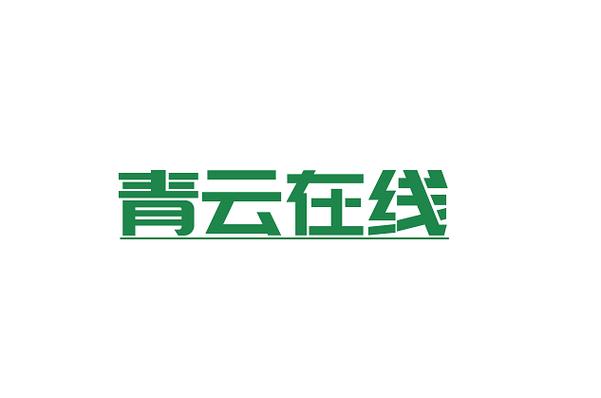 從開發(fā)到安全 大數(shù)據(jù)服務(wù)與軟件外包的全鏈路布局